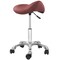 Saloniture Professional Ergonomic Saddle Stool - Adjustable Hydraulic Seat, Rolling Spa Salon, Massage, and Medical Office Chair with Swivel Wheels